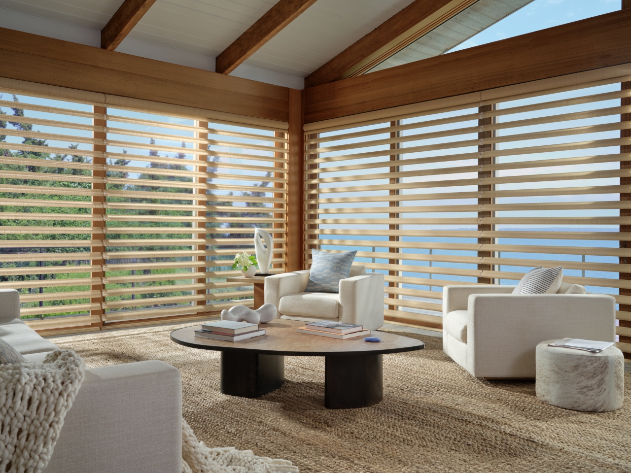 Pirouette window shadings