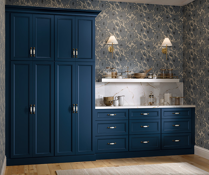 Navy blue pantry cabinets with brass hardware