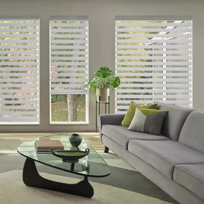 Designer Banded Shades in Fairy Glen in Harbor Gray