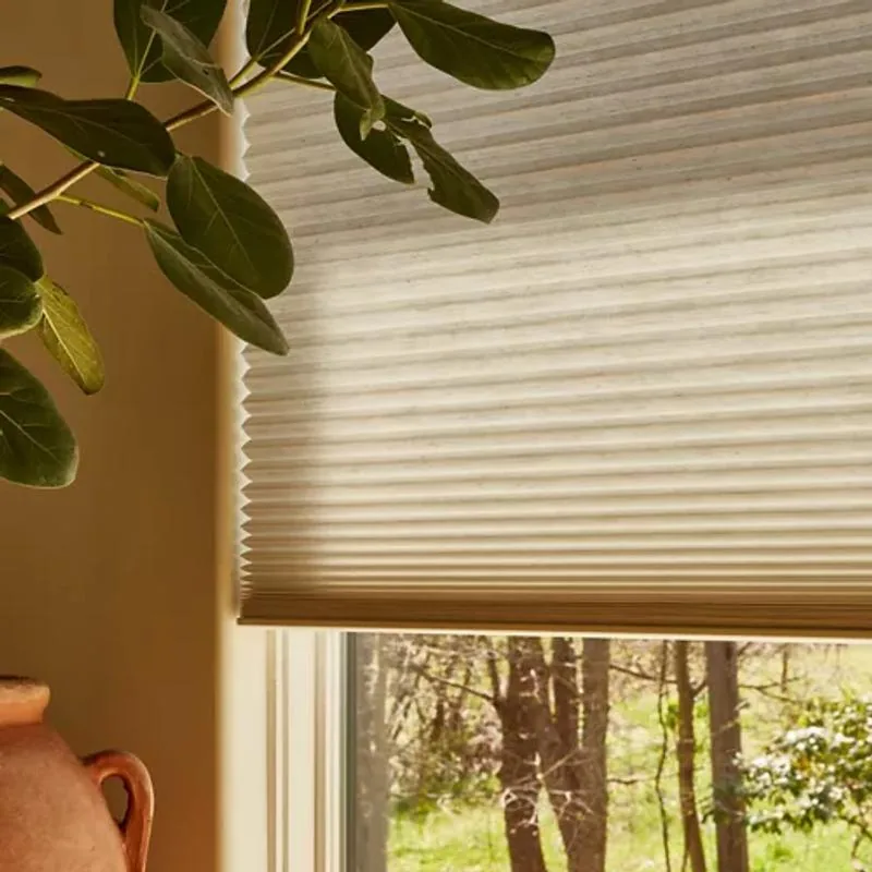 Duette shades in Architella Alexa in Journal