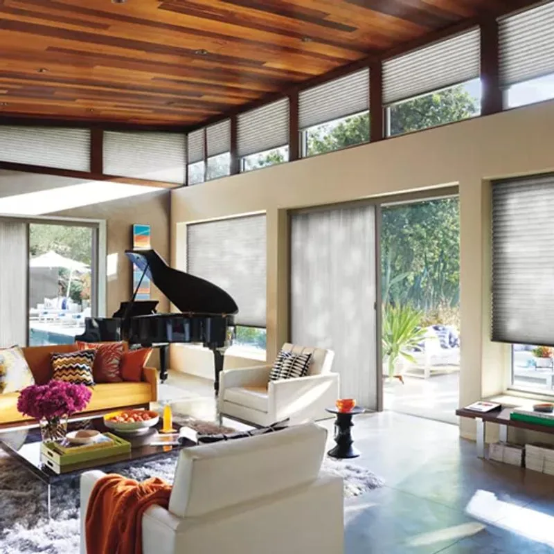 Duette shades in Elan Volcanic Ash