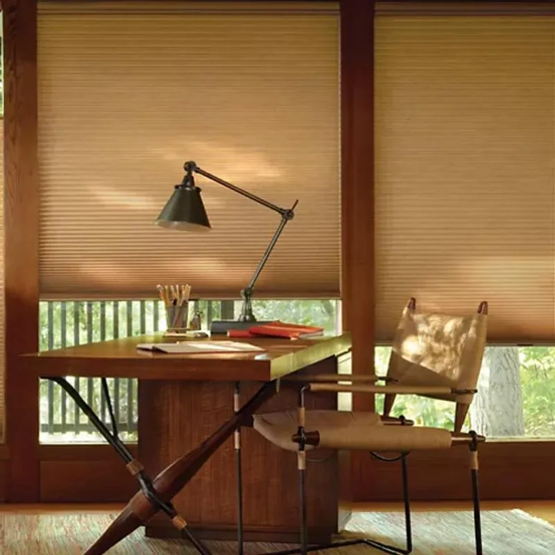 Duette shades in India Silk Tiger Eye