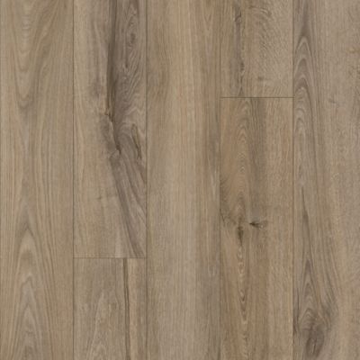 Refined Forest in Fawn