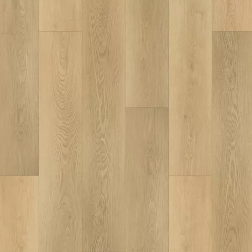 Hazelwood Drift in Cami