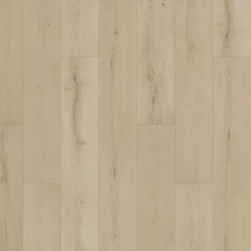 Sterling Cove in Porcelain