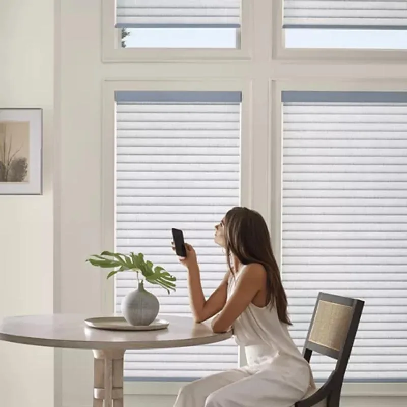 Sonnette shades in Ainsley Voyage