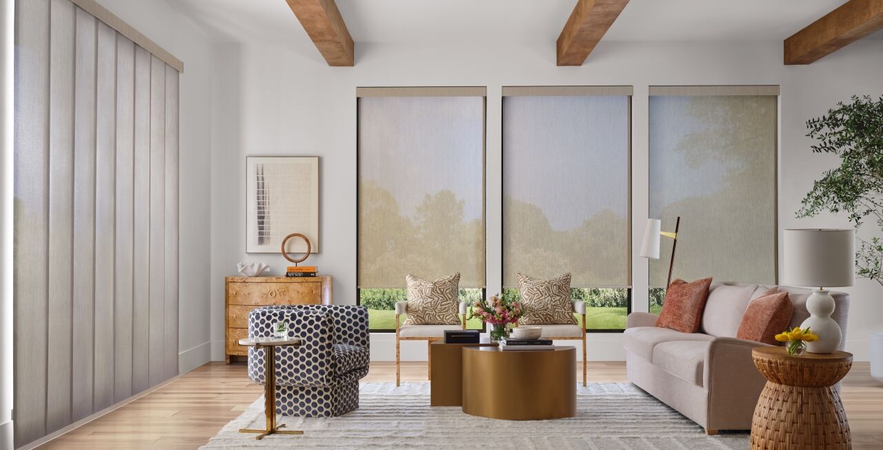 Designer Screen Shades — modern living room with exposed beams